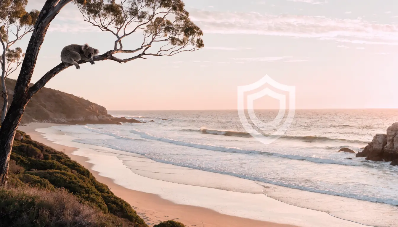 Australian sunrise beach with koala and transparent privacy shield